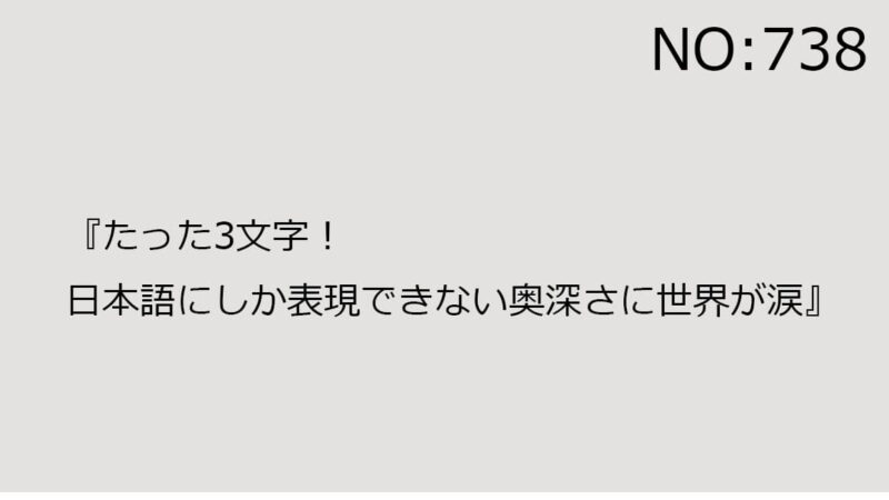 2024年5月4日（土）