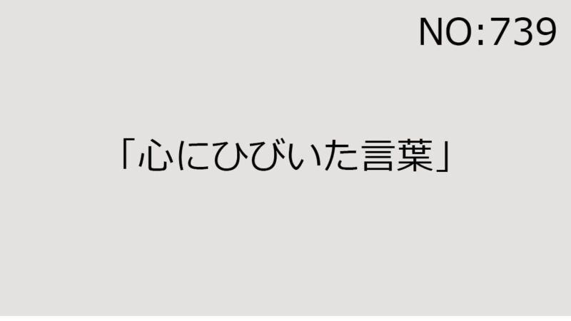 2024年5月11日（土）