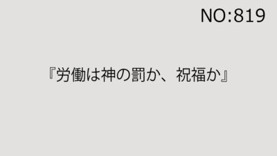 2025年11月22日（土）