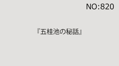 2025年11月29日（土）