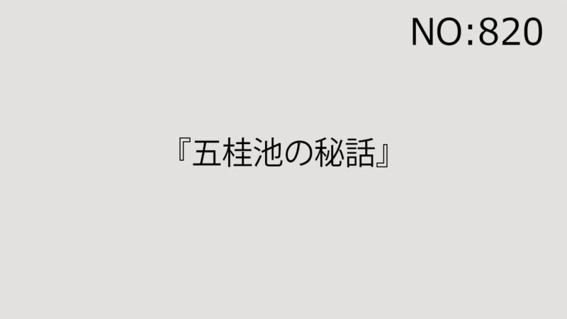 2025年11月29日（土）